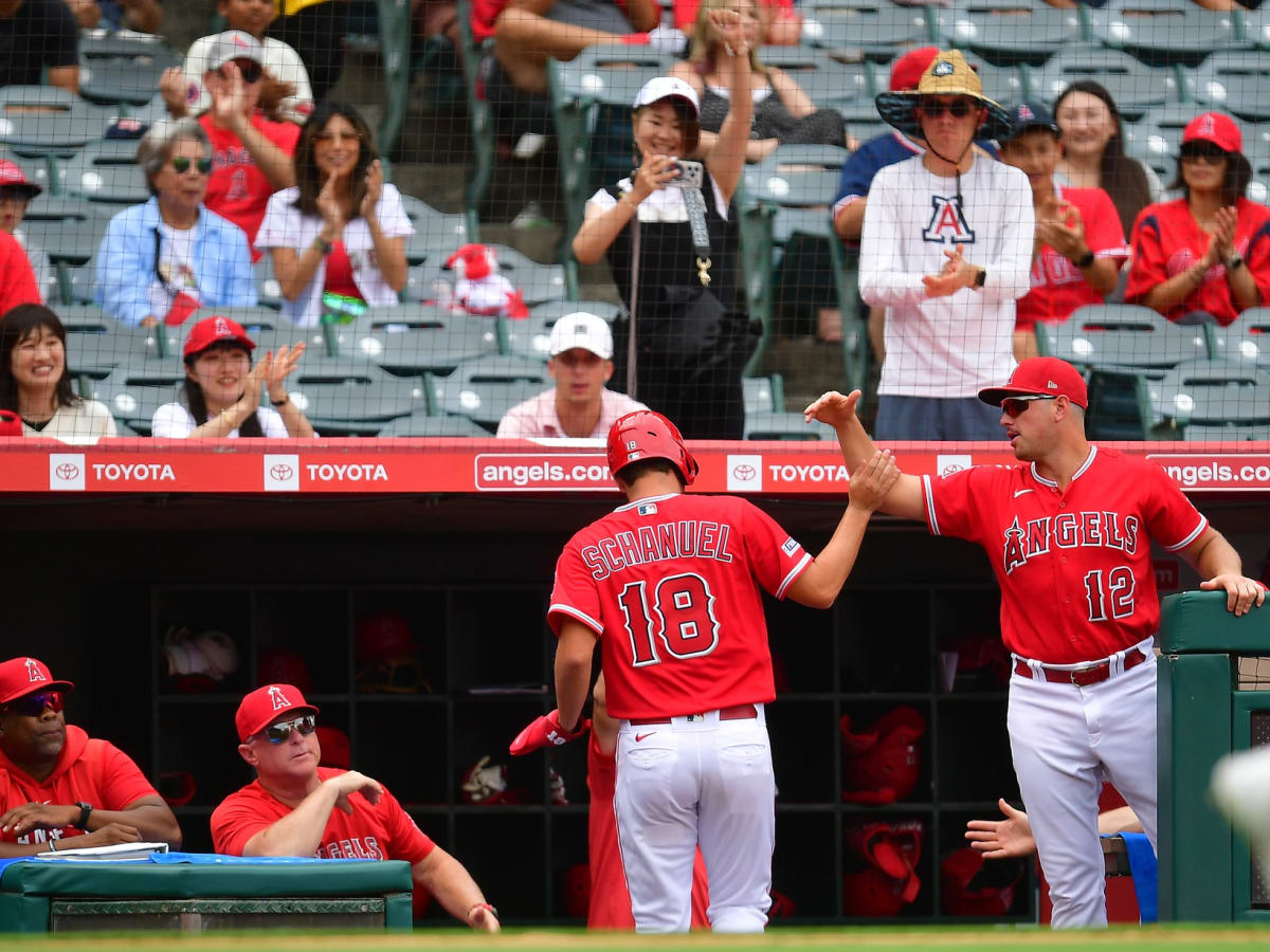 Angels PR on X: Nolan Schanuel has hit safely in each of his