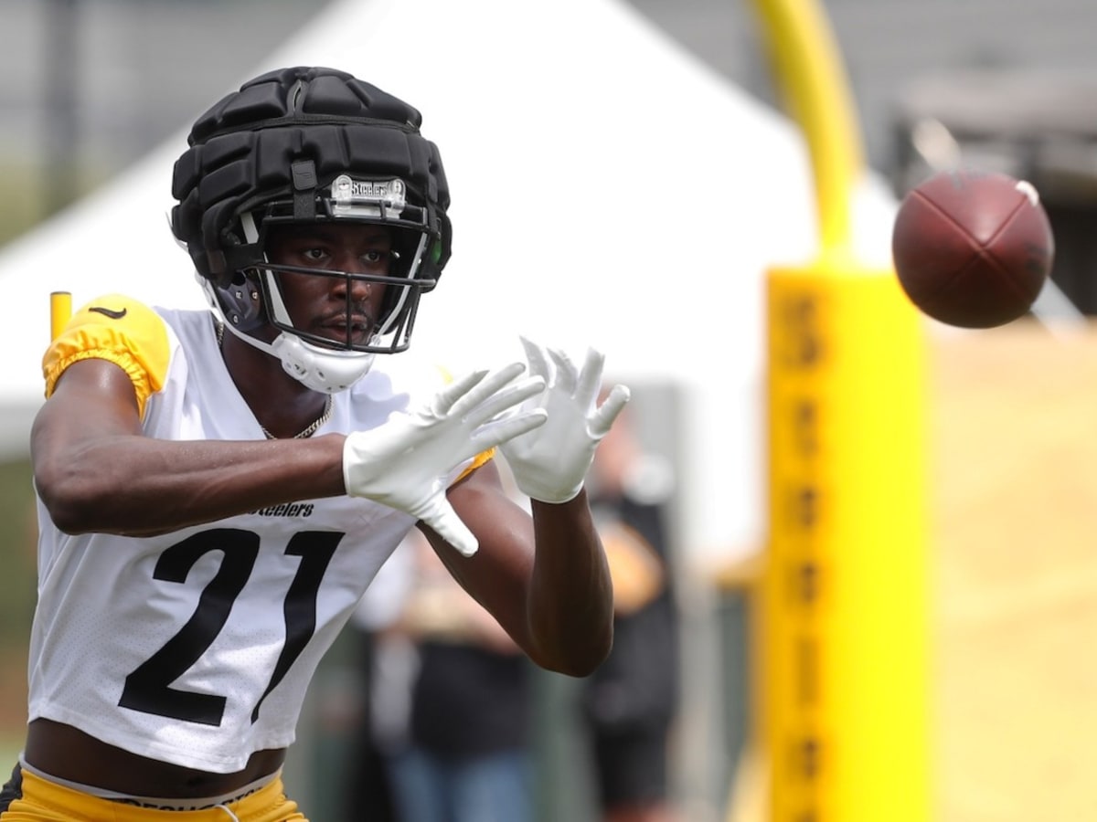 Steelers Sign XFL Star WR Hakeem Butler + Pittsburgh DT Out For