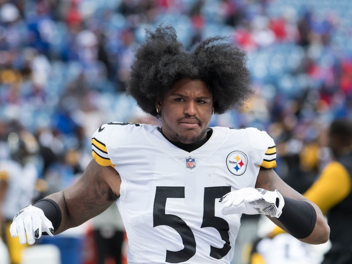 I mean, I'm still going to be in the NFL' — Devin Bush unconcerned this  might be last year with Steelers