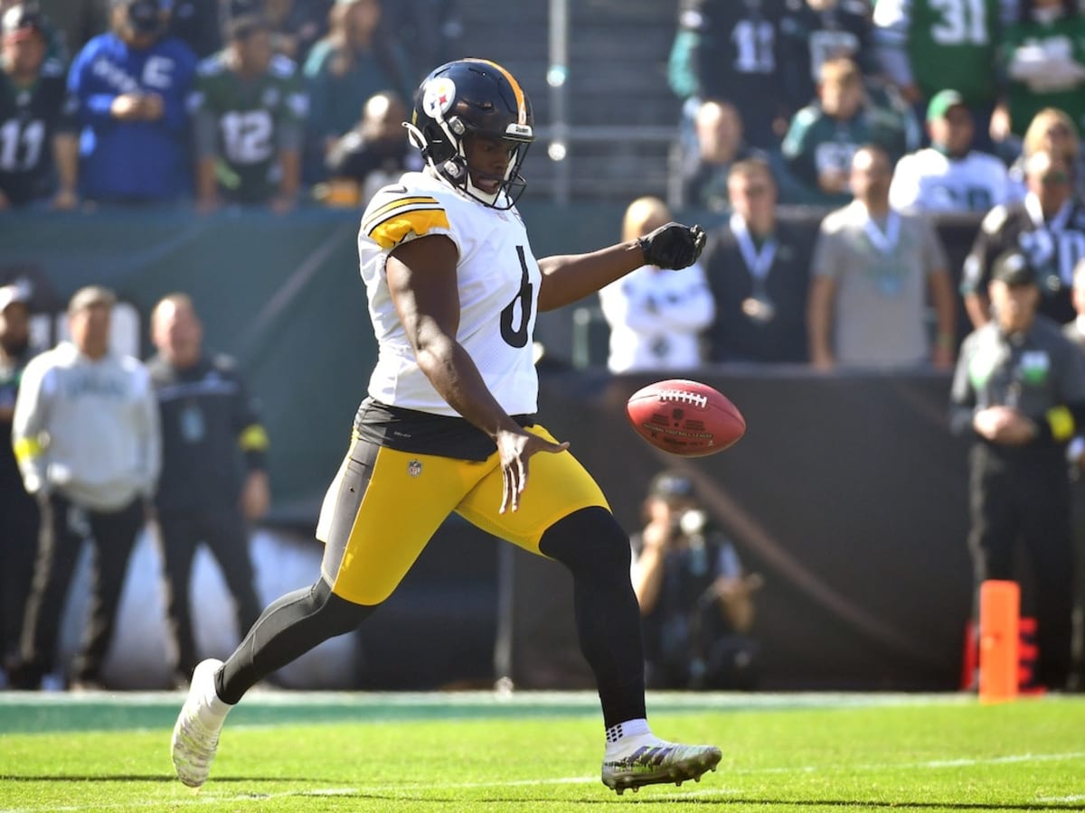 Steelers roster cuts: 8 surprises from cutdown day, including two punters  on the final 53 - Behind the Steel Curtain