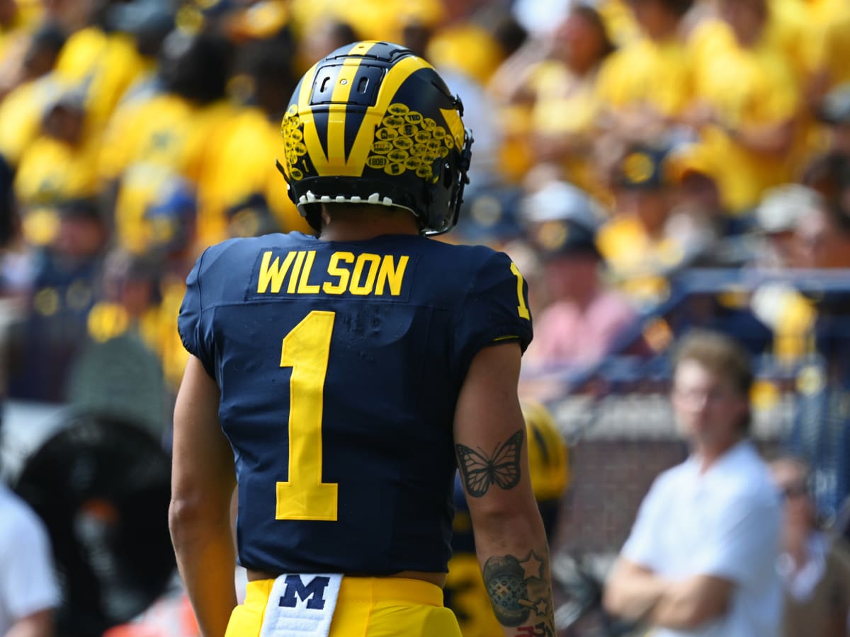 Michigan's Roman Wilson Shines In Week One - Sports Illustrated Michigan  Wolverines News, Analysis and More