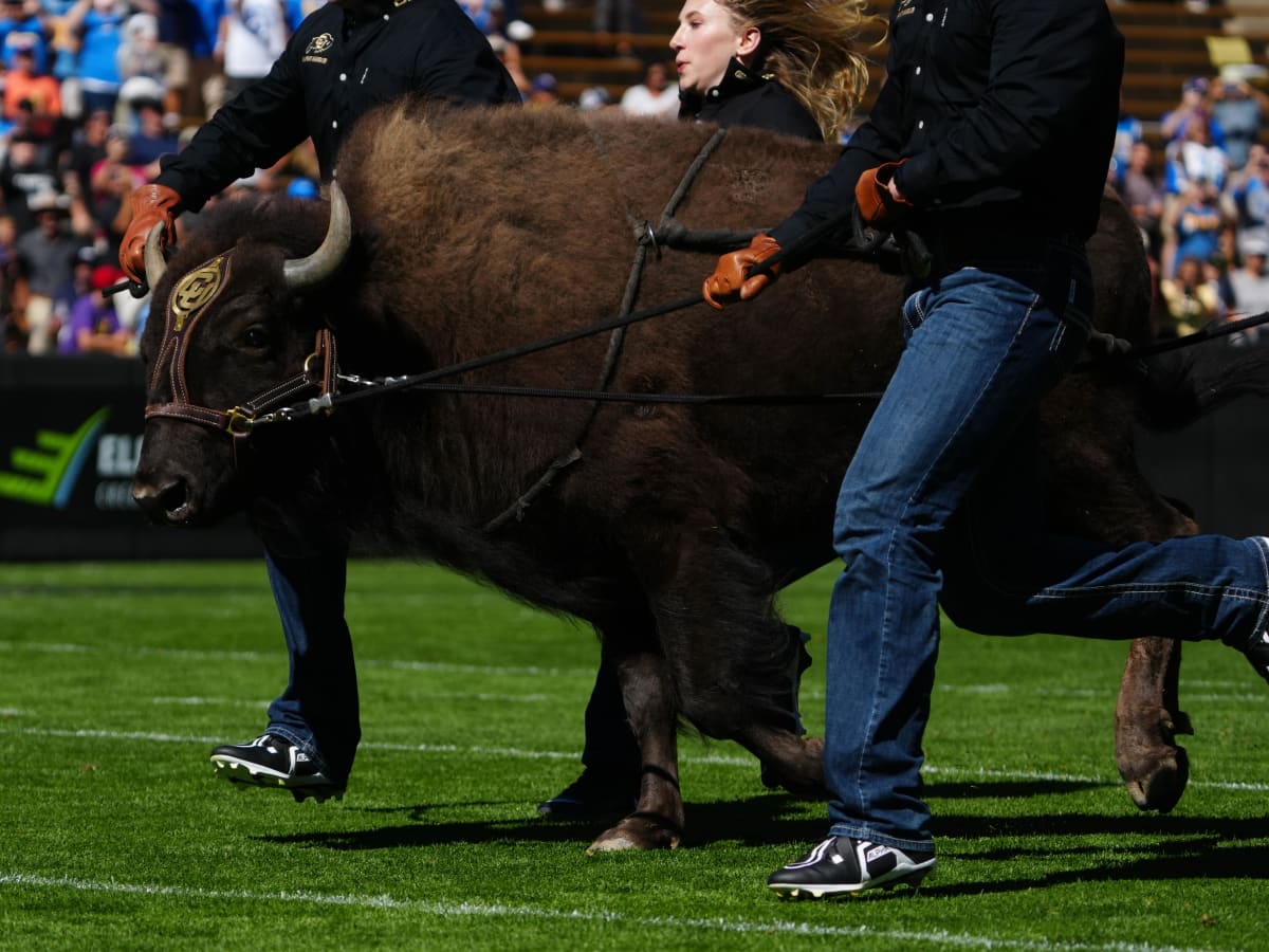 Colorado Buffaloes ranked #19 in AP Top 25 - The Ralphie Report