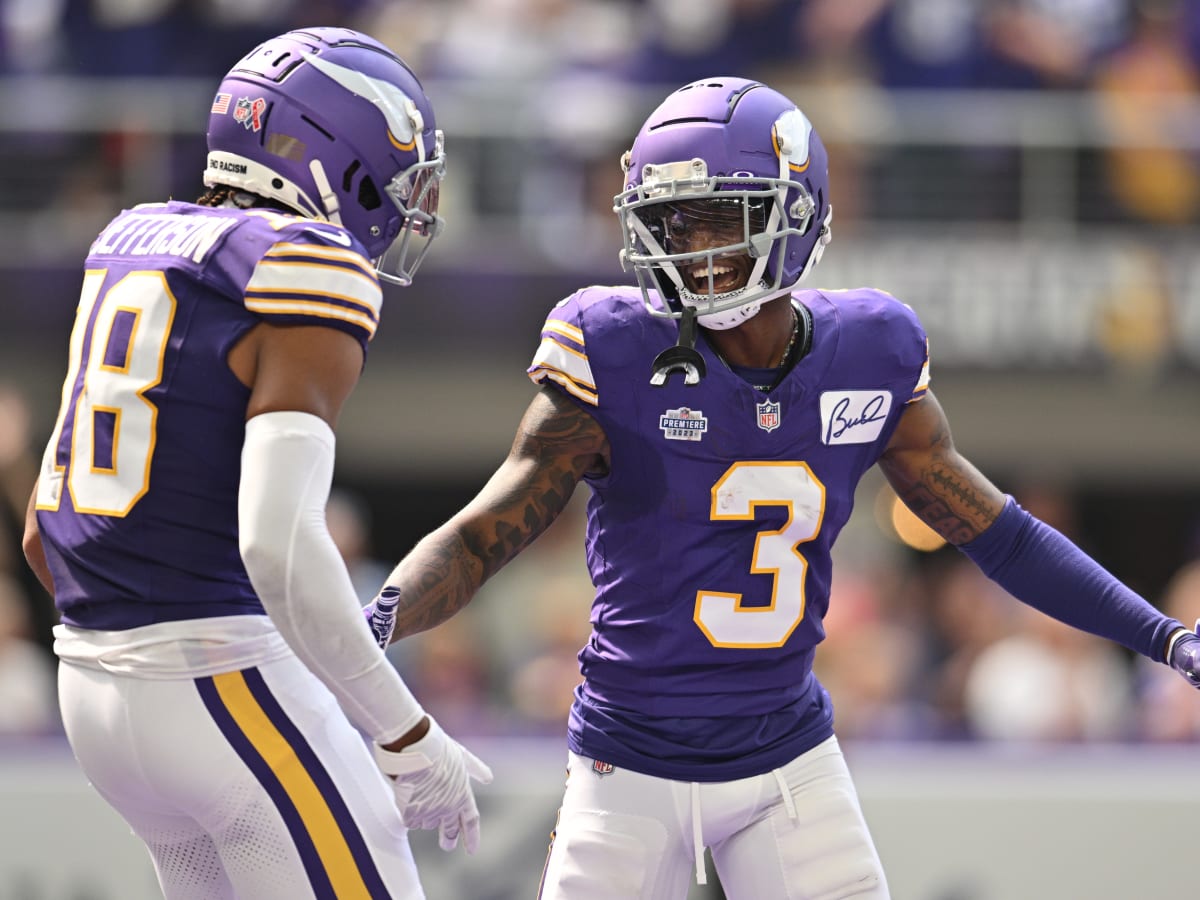 Vikings Season Snaps: Two unexpected players appeared in every