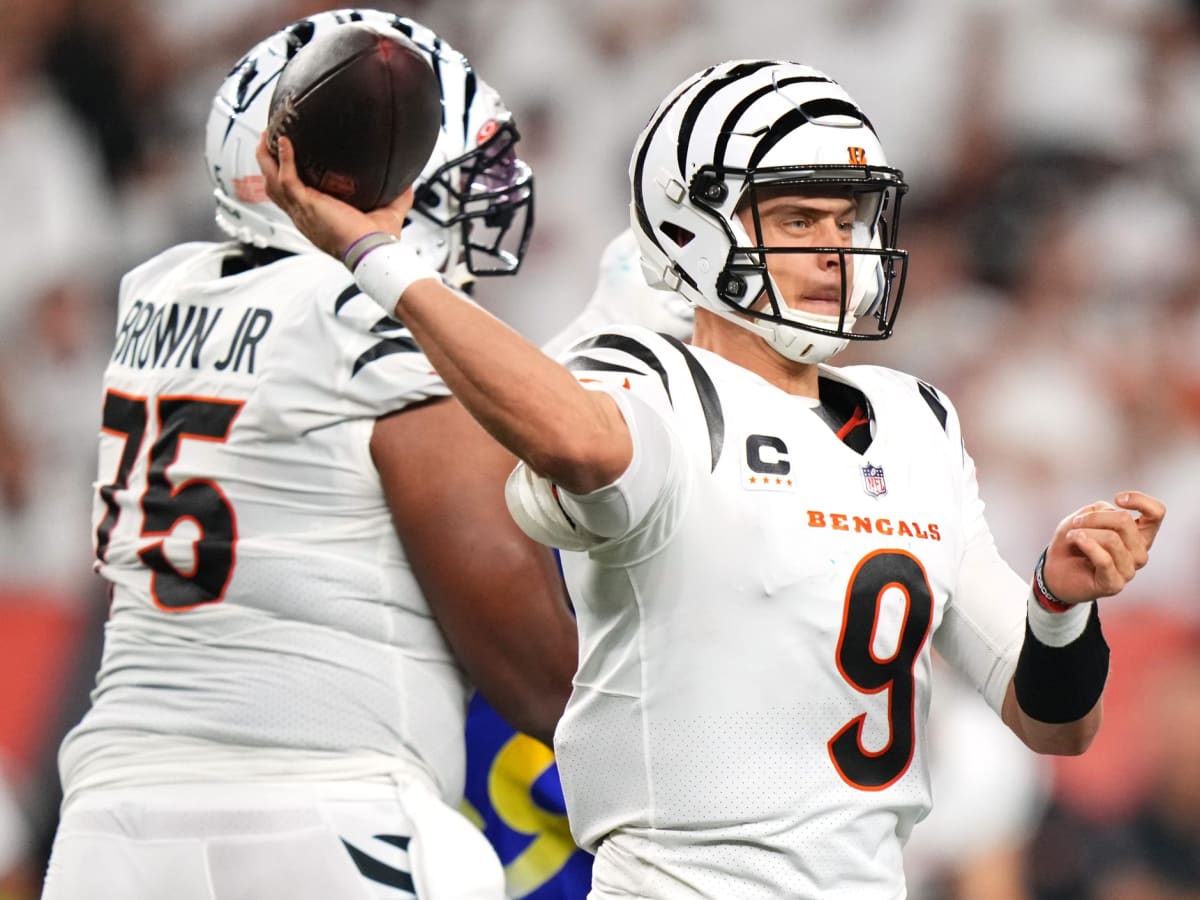 Cincinnati Bengals Center Ted Karras: 'O-Line Needs to be Perfect' If  Quarterback is Limited - Sports Illustrated Cincinnati Bengals News,  Analysis and More