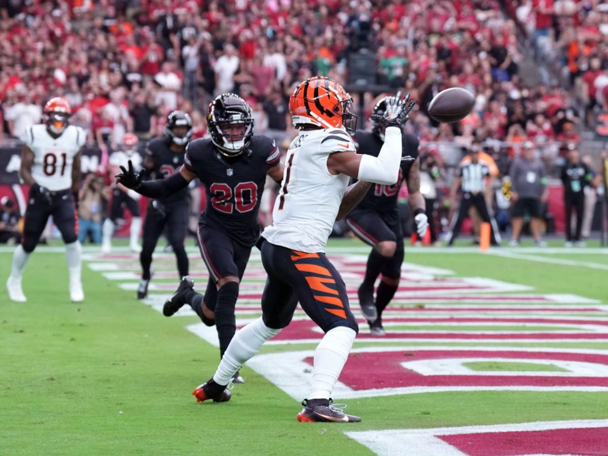 Cardinals at Bengals results: Recapping the 34-31 Arizona win over  Cincinnati - Revenge of the Birds