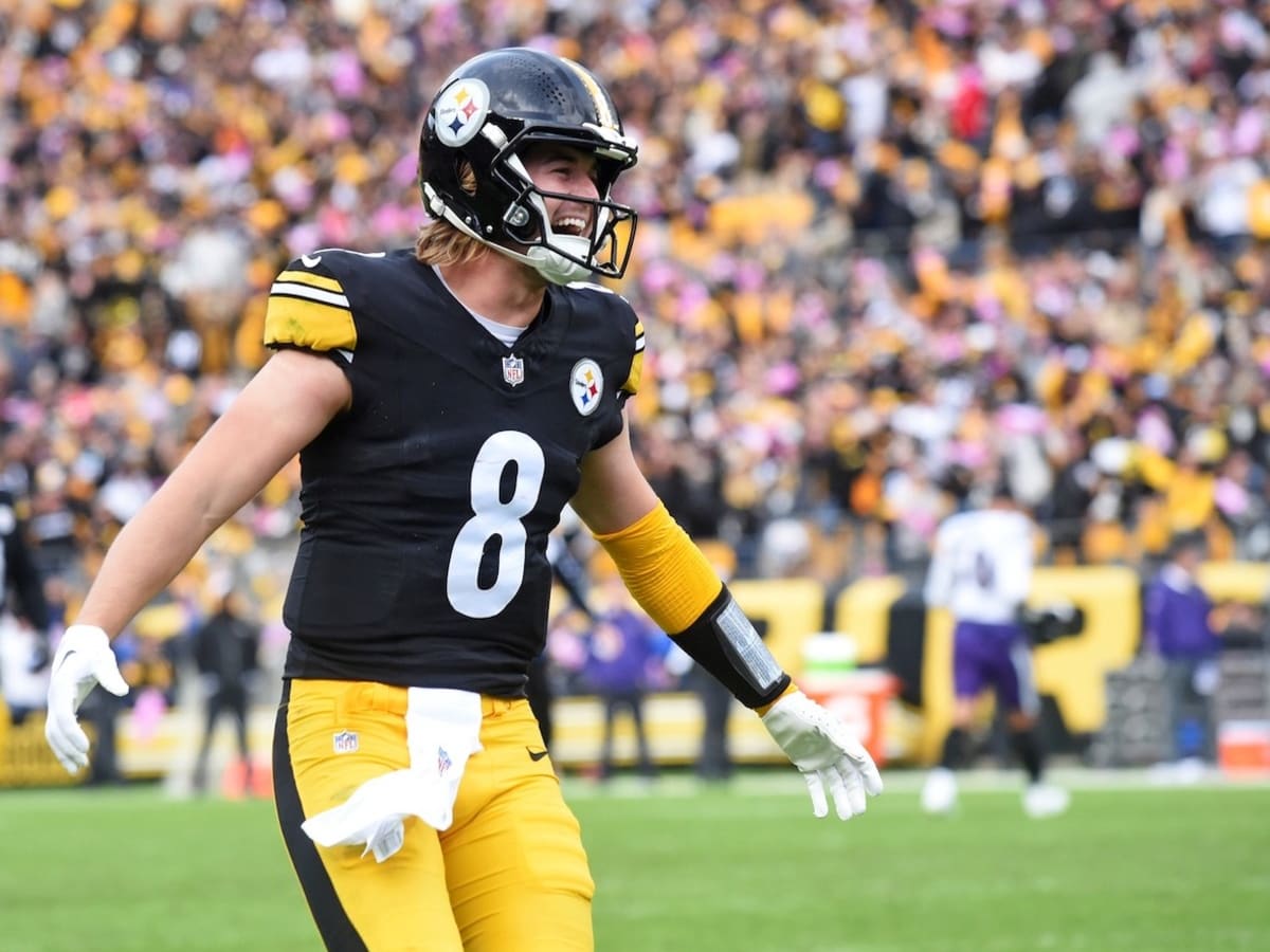 Steelers reclaim AFC North title, will host Ravens in first round