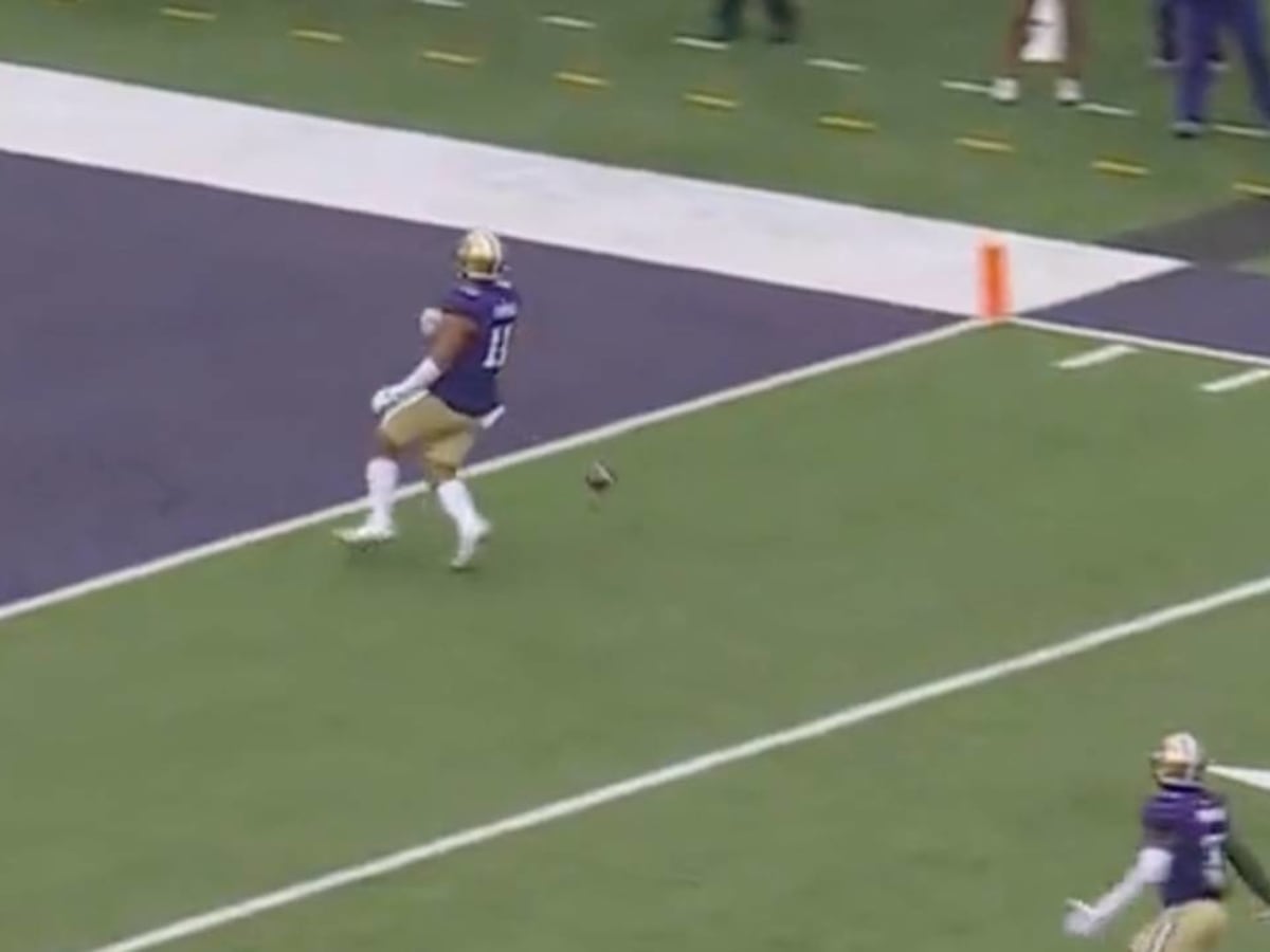 Washington LB Pulls a Desean Jackson, Drops Ball Short of Goal Line Costing  Team a Sure TD - Sports Illustrated