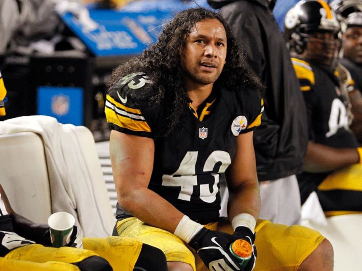 Steelers Safety Troy Polamalu To Retire From The NFL - Cincy Jungle