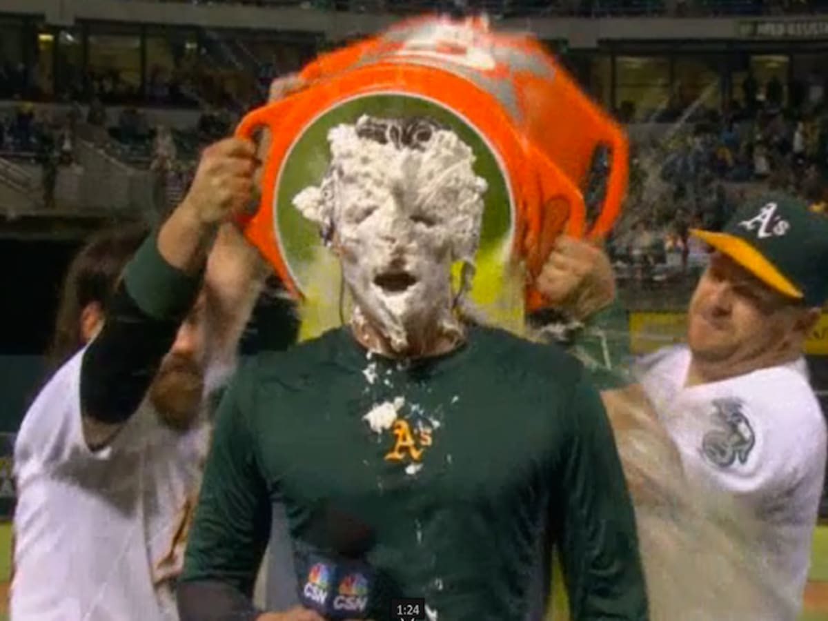 Pies in the Face - Sports Illustrated