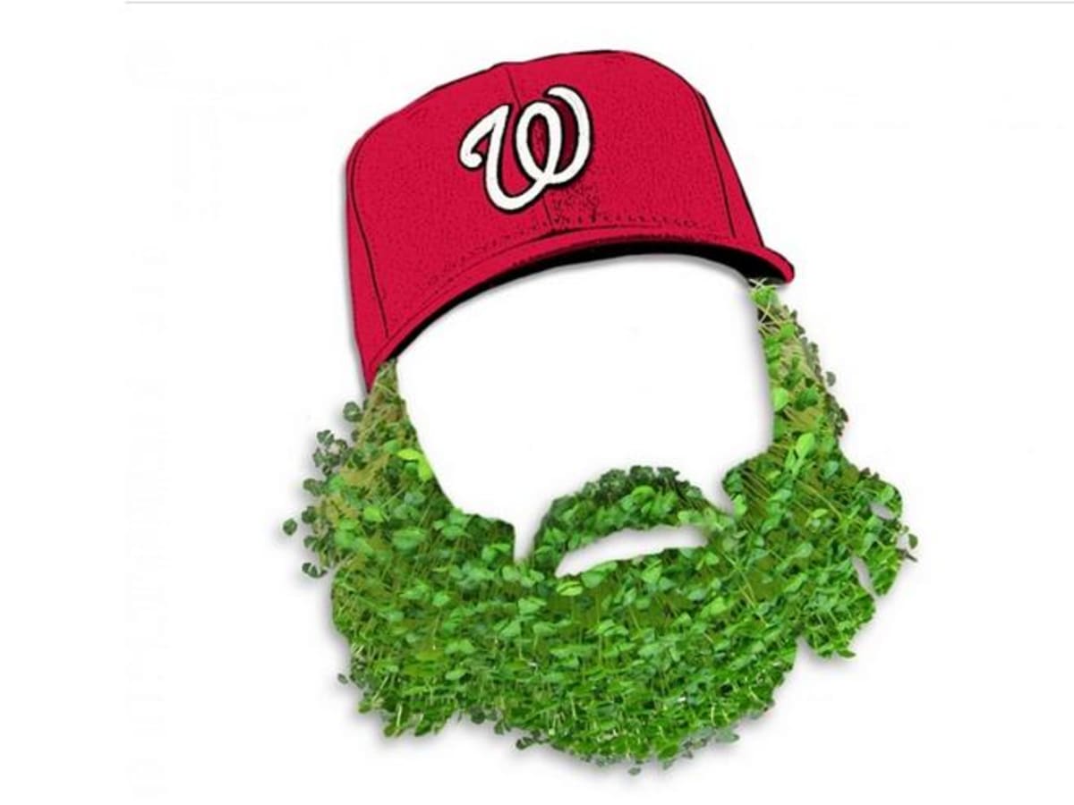 Nationals 2015 Promotion/Giveaway Schedule: Bobbleheads, nesting dolls,  garden gnome, Jayson Werth Chia pet, Star Wars night and more highlight  10th anniversary celebration – LET TEDDY WIN