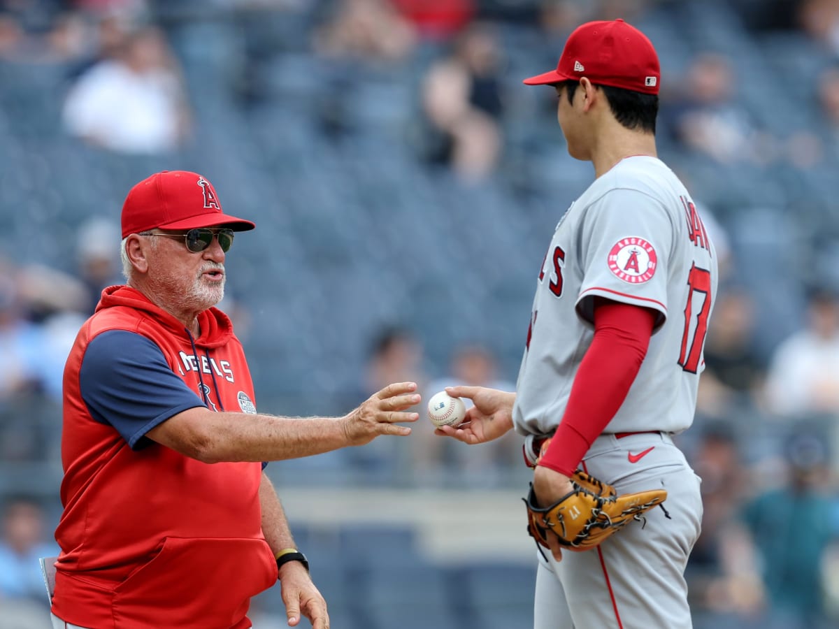 MVP Shohei Ohtani and Joe Maddon, the Creator of True Two-Way - WORLD  INSIGHT