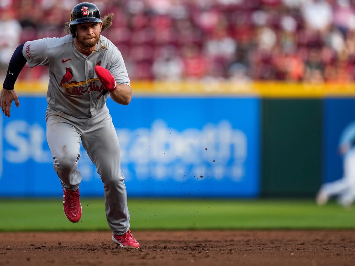 Cardinals Reportedly Lose Outfielder For Season; Has He Played His Last  Game For Club? - Sports Illustrated Saint Louis Cardinals News, Analysis  and More
