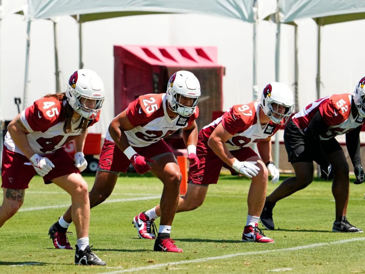 Arizona Cardinals Left Tackle L.J Editorial Stock Photo - Image of