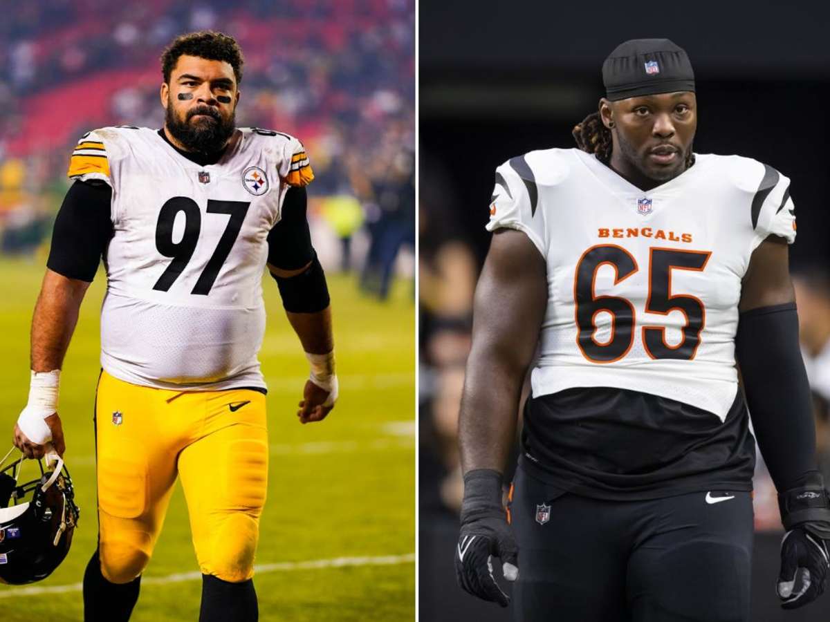 Steelers' Cameron Heyward makes Larry Ogunjobi prediction