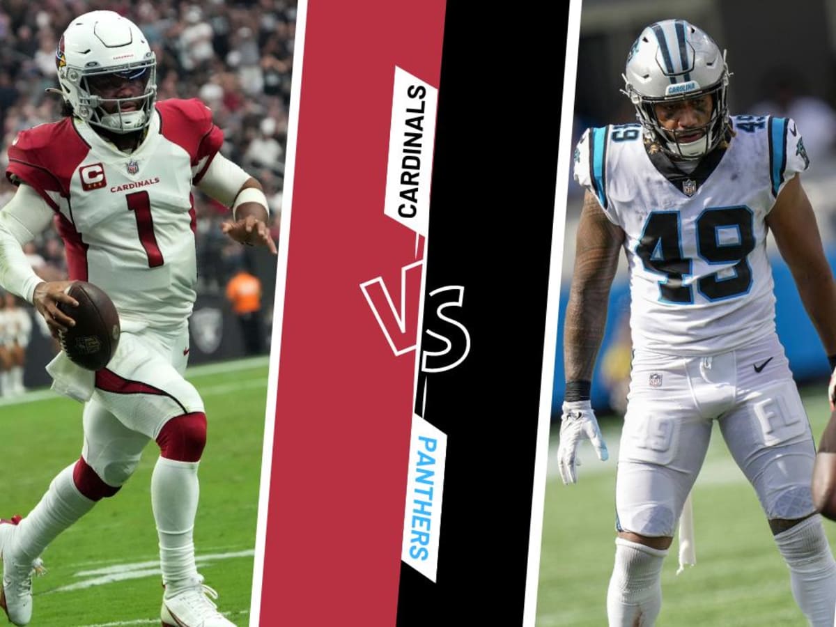 Carolina Panthers: Carolina vs. Arizona Preview