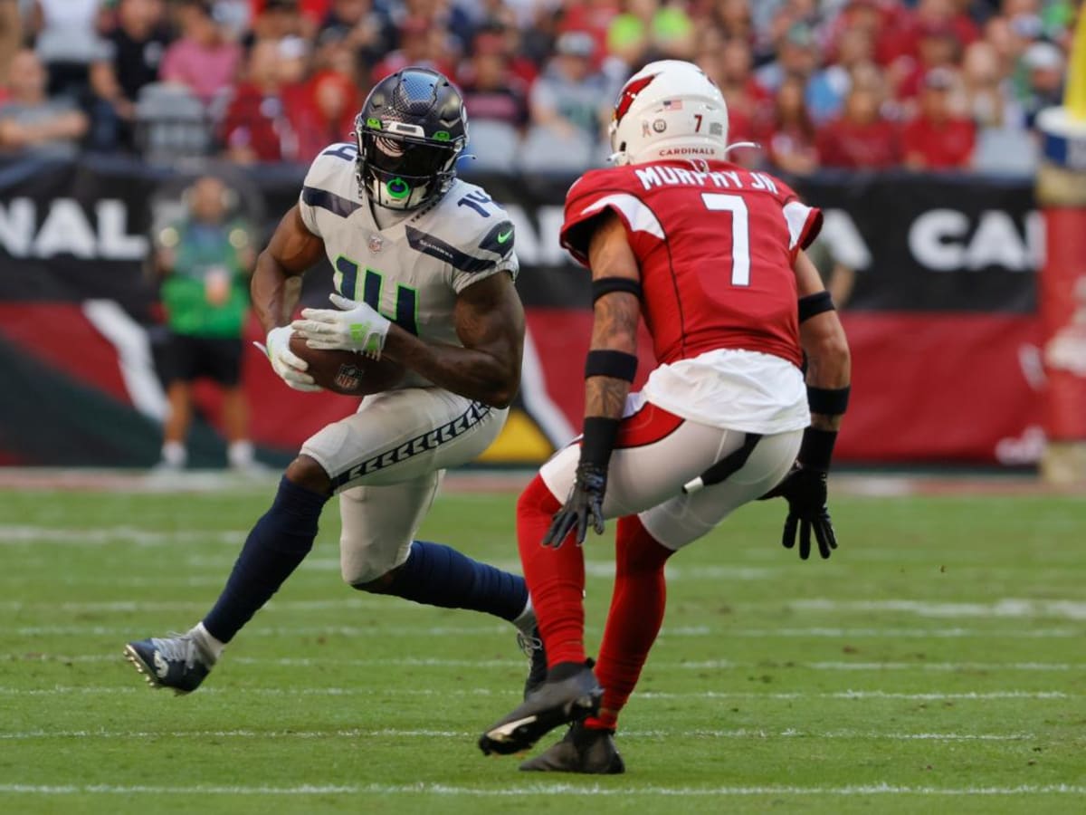 Seattle Seahawks Vs Arizona Cardinals: What We'll Learn from NFC West  Showdown, News, Scores, Highlights, Stats, and Rumors