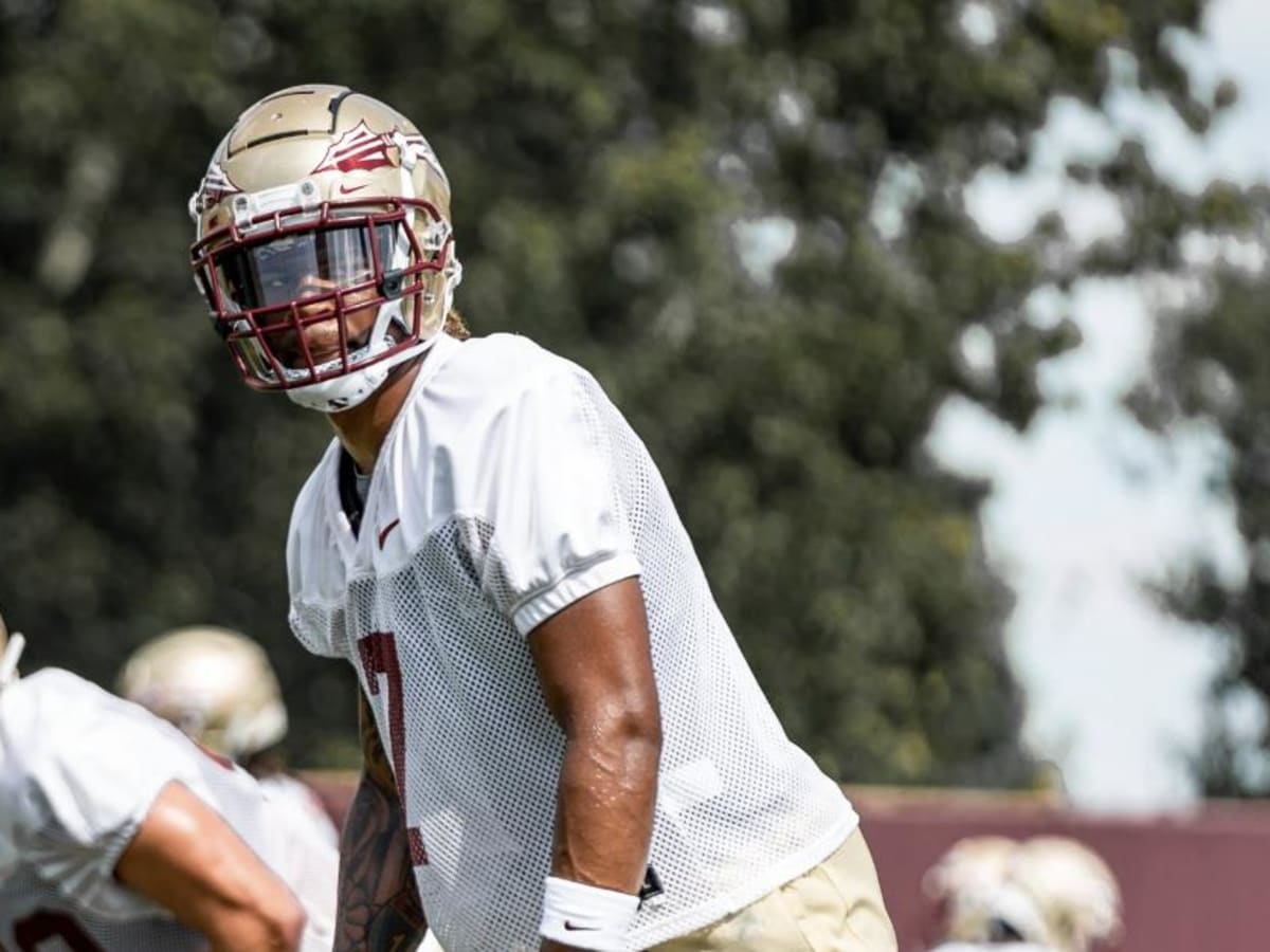 Tennessee Titans Ink Former FSU Running Back To Practice Squad After  Standout Preseason - Sports Illustrated Florida State Seminoles News,  Analysis and More