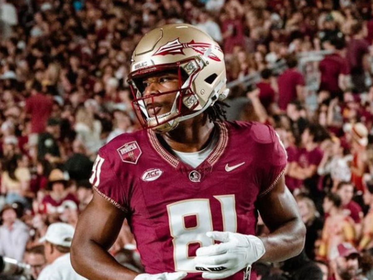 FSU Football Wide Receiver Plans To Enter Transfer Portal After Three Years  With Program - Sports Illustrated Florida State Seminoles News, Analysis  and More