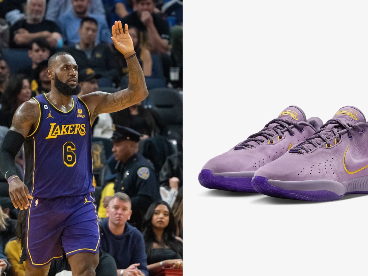 Lebron discount leather shoes