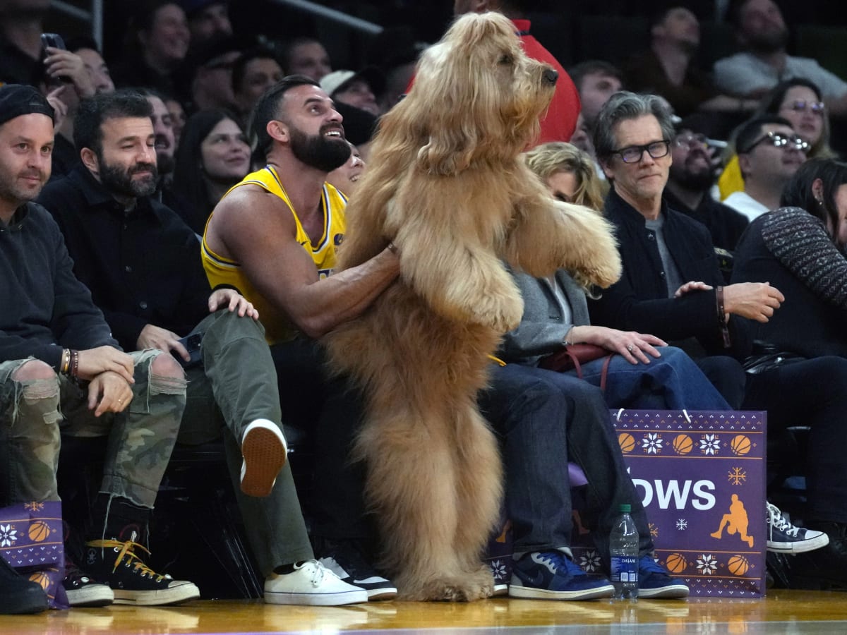 Famous Dog Stole the Show While Sitting Court Side at Knicks