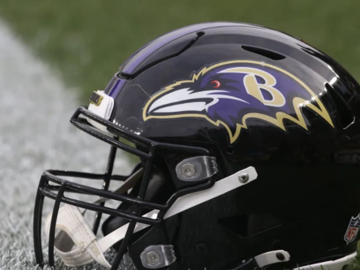 Nfl ravens hot sale helmet