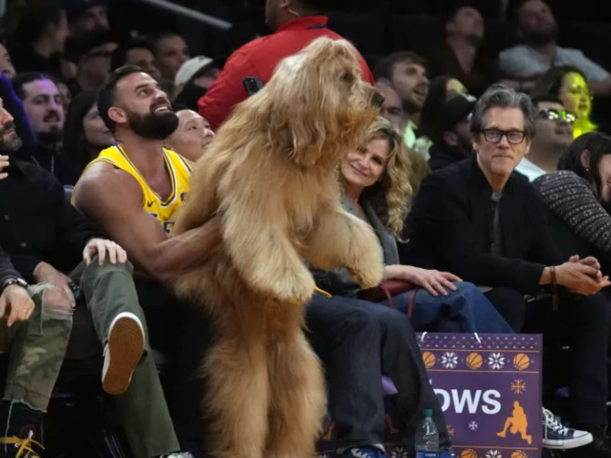 Who is Brodie Dog Steals Show at New York Knicks Los Angeles