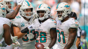 Fact or Fiction: Dolphins Could Flirt With 15 Wins, Packers Are Best in NFC  North - Sports Illustrated