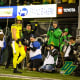 Oregon Ducks quarterback Bo Nix scores a touchdown against the Washington Huskies.