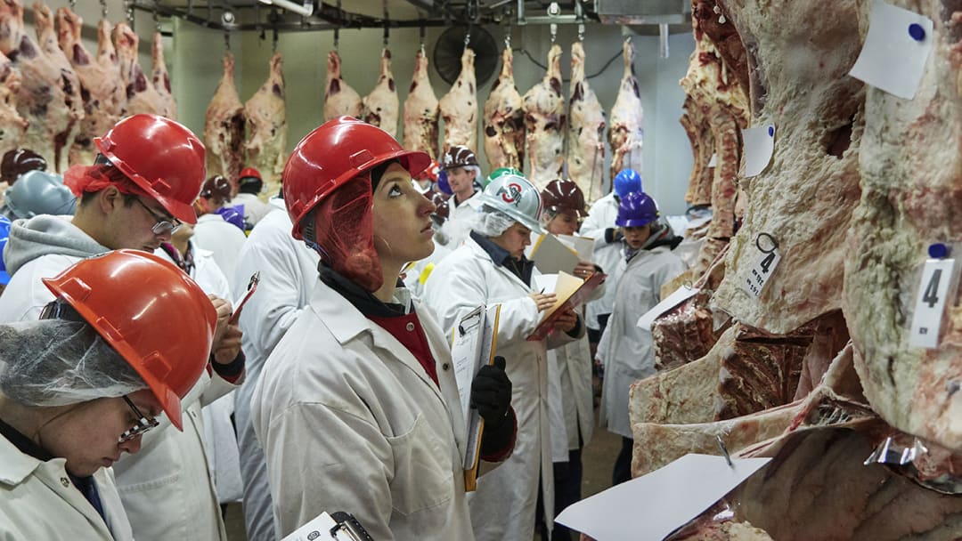 Welcome to the World of Competitive, Intercollegiate Meat Judging