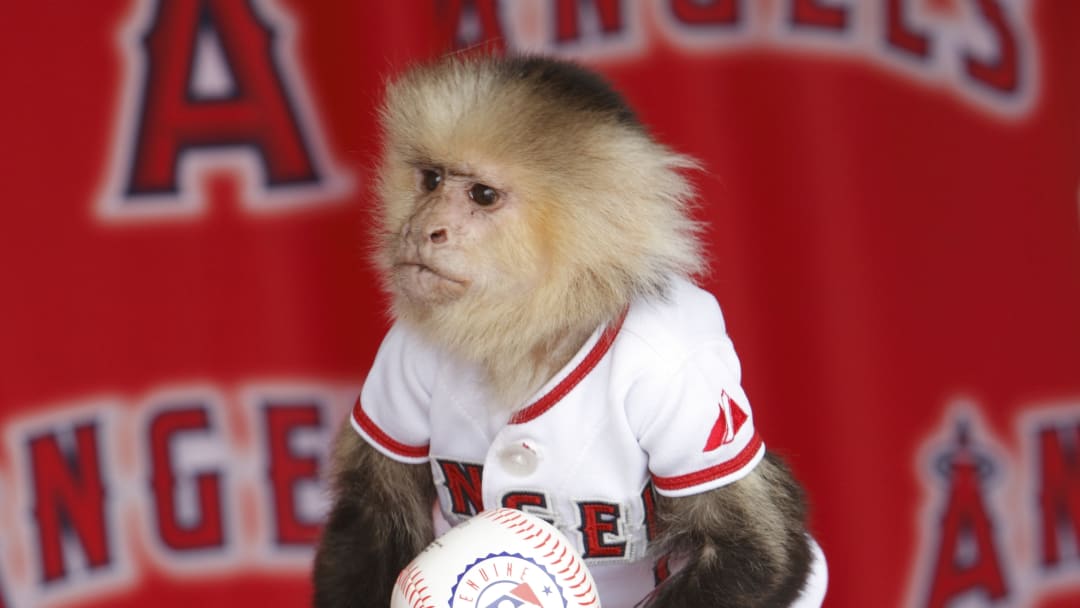 MLB's best unofficial mascots