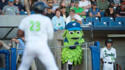 The Wacky World of Minor League Mascots Arrives at the Winter Meetings