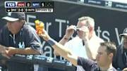 Red Sox-Yankees game delayed by bees, but Mark Teixeira has the solution