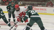 Wisconsin Women's Hockey Sweeps Bemidji State: Weekend Recap