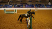 TCU Equestrian: High Hops