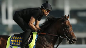 With the Favorite Out, Expect the 2019 Kentucky Derby To Be a Fast and Wide Open Race