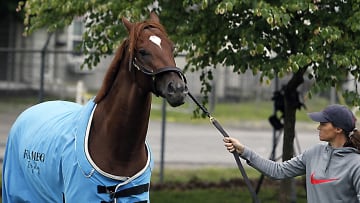 2017 Belmont Stakes post position draw results: latest odds, favorite