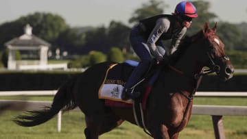 With no Triple Crown at stake, the Belmont stands as its own reward