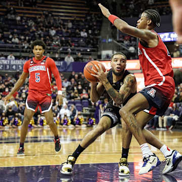 Skylar Lin's Lens Captured the UW-Arizona Game