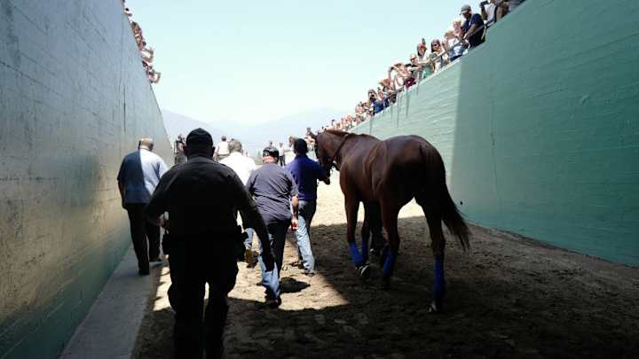 Report: 22nd Horse Dies at Santa Anita Park in Less Than Three Months