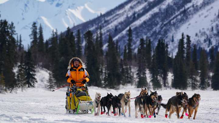 Taking on the 2019 Iditarod