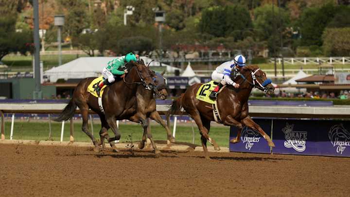 Santa Anita Suspends Races After 21st Horse Dies in Less Than Three Months