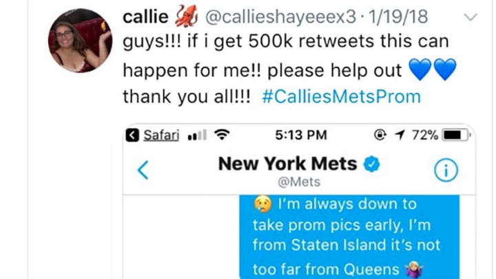 Mets Fan Will Take Prom Photos at Citi Field