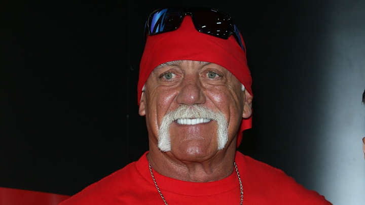 Hulk Hogan hopes to be back in the ring for WrestleMania 33