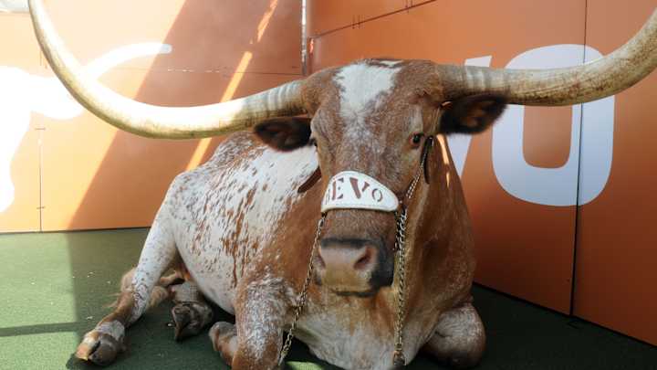 Texas mascot, Bevo XIV, dies at 13