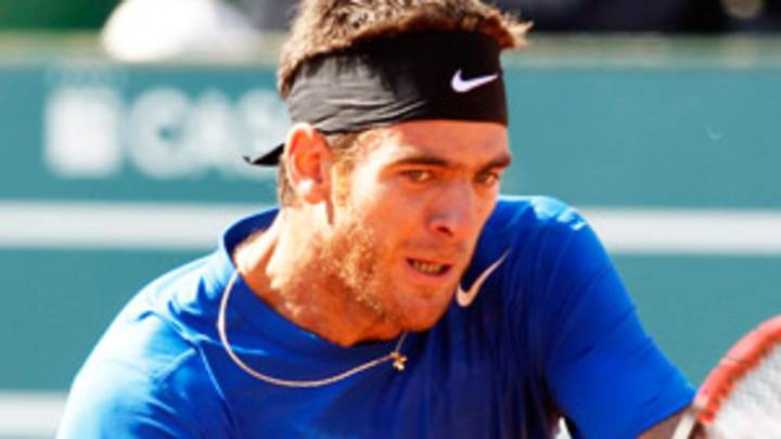 Juan Martin del Potro hopes to meet new Pope Francis in Rome