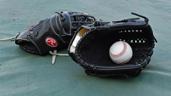 Virus Postpones Opening of Japanese Pro Baseball Season