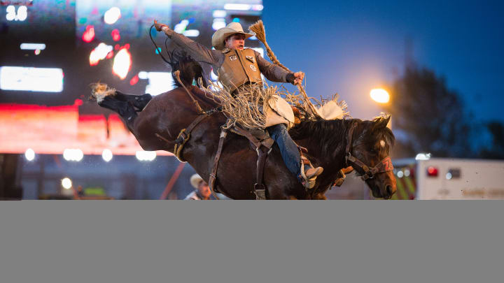 Pro Rodeo Bucking Stock of the Year Awards Announced for 2023