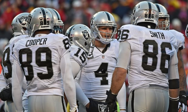 Carolina Panthers - Bank of America Stadium, Carolina Panthers Quarterback  Cam Newton, Patrick Schneider