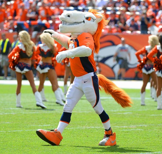 The Best and Worst NFL Mascots, According to Football Fans