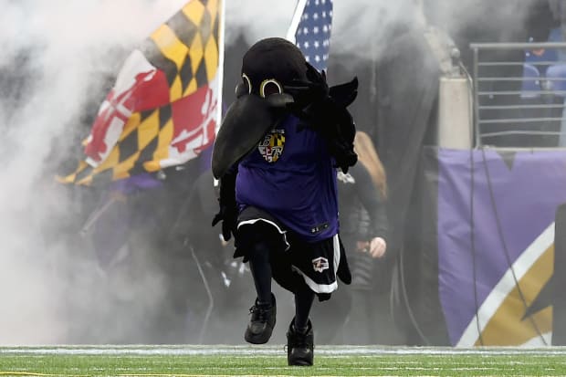 Ravens' Mascot Poe Carted Off Field With Apparent Injury - Sports  Illustrated